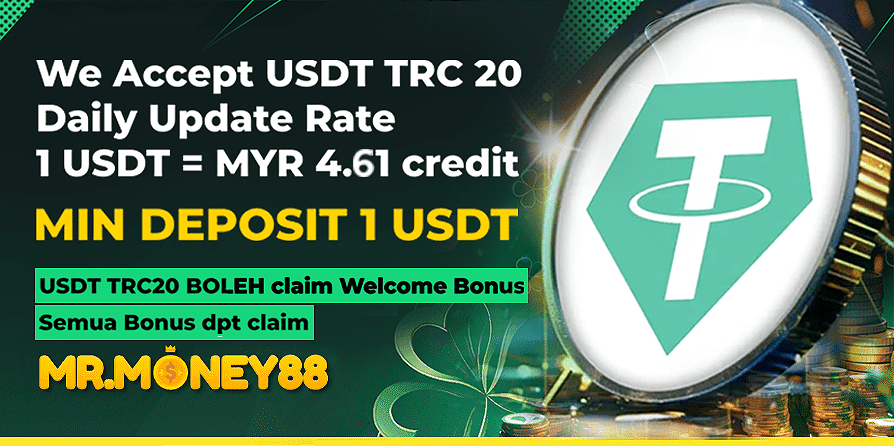 USDT payment method available at MrMoney88